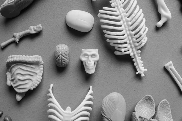 Les meilleurs purificateurs d'air pour les personnes allergiques